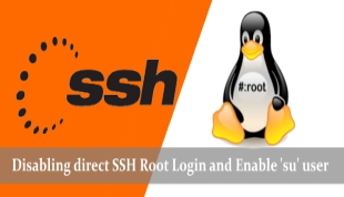 SSH Root