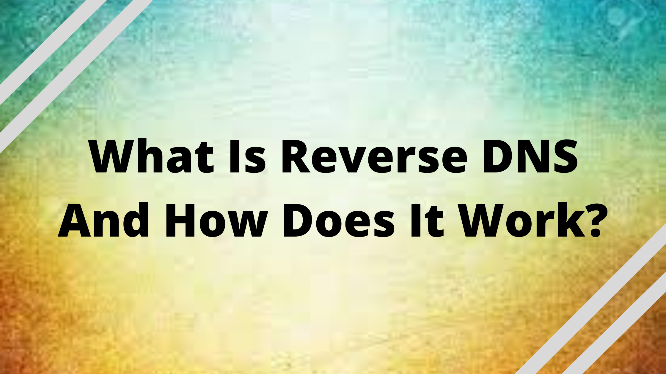 What-Is-Reverse-DNS-And-How-Does-It-Work